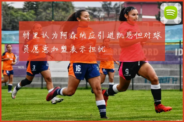特里认为阿森纳应引进凯恩但对球员愿意加盟表示担忧