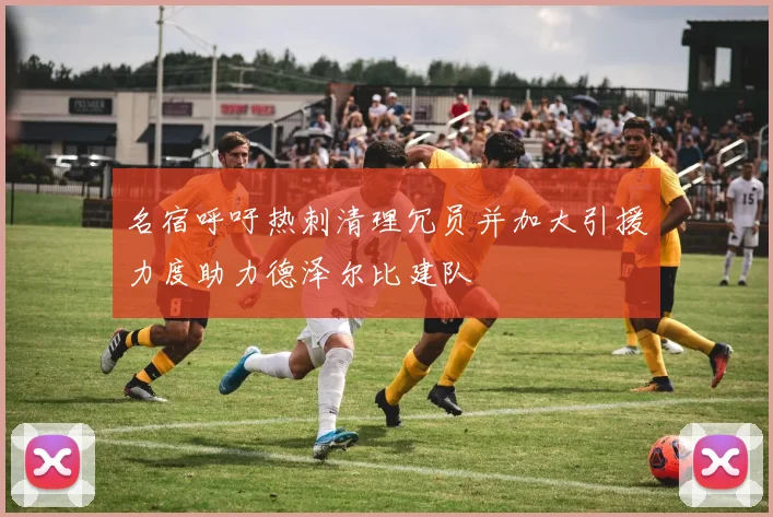 名宿呼吁热刺清理冗员并加大引援力度助力德泽尔比建队